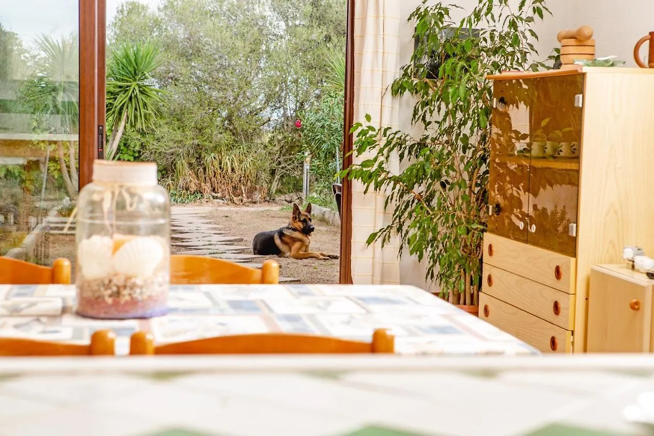 דירות פאלאו Relax Tra Terra E Mare איטליה